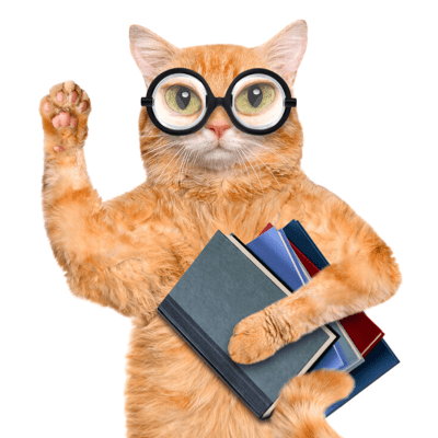 Evidence-Based-Learning-independant-learning-graphics.015.png