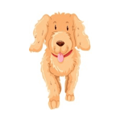 Evidence-Based-Learning-metagcognition-graphics.004-1.png