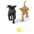 Evidence-Based-Learning-peer-teaching-icons.003.png