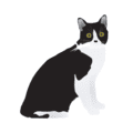 Evidence-Based-Learning-self-assessment-icons.010.png