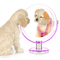 Evidence-Based-Learning-self-assessment-icons.014.png
